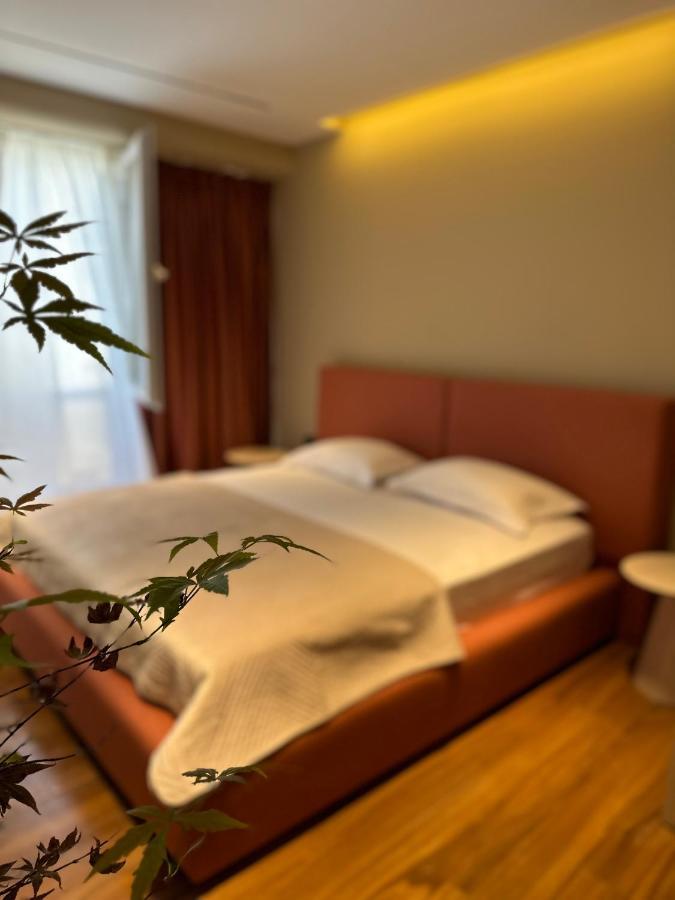 Aia Suites & Apartments 地拉那 外观 照片